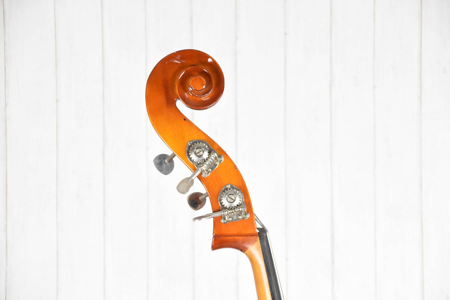 Strunal double bass 4/4 (50/4) laminated
