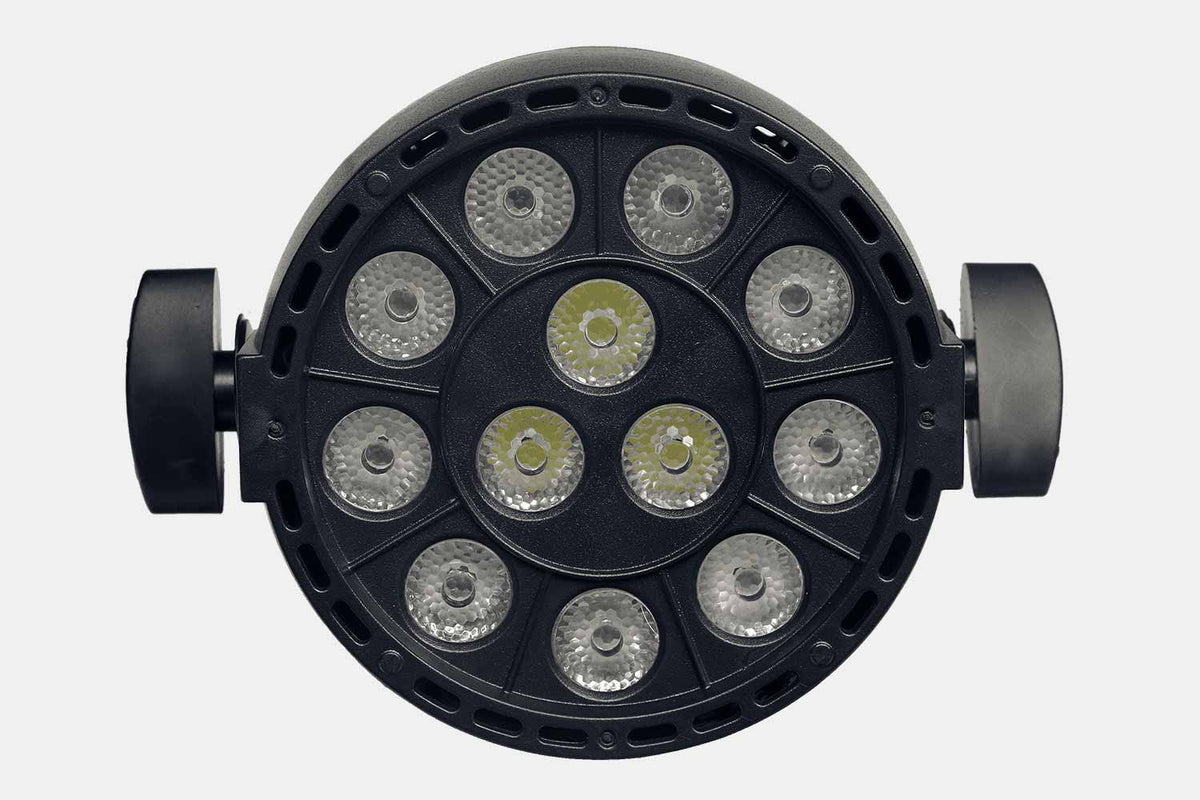 Algam Lighting PARWASH12 - Par LED 12x