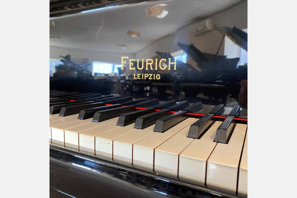 Feurich 195 Zwart Hoogglans Vleugel