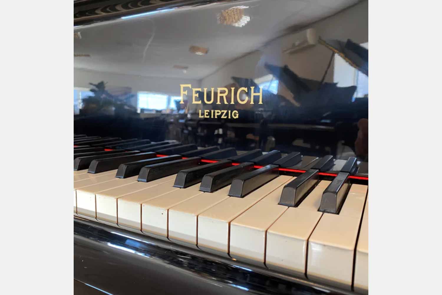 Feurich 195 Zwart Hoogglans Vleugel
