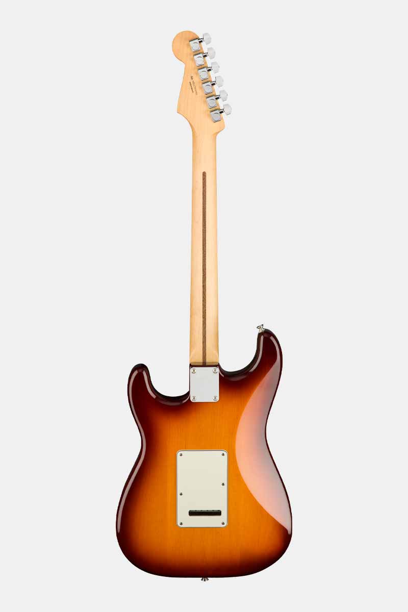 Fender Stratocaster Plus Top Tobacco Sunburst PF