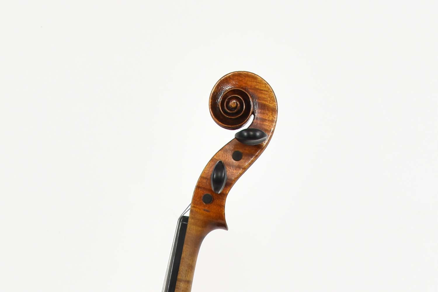 Viole 4/4 Brother Wolff 1910