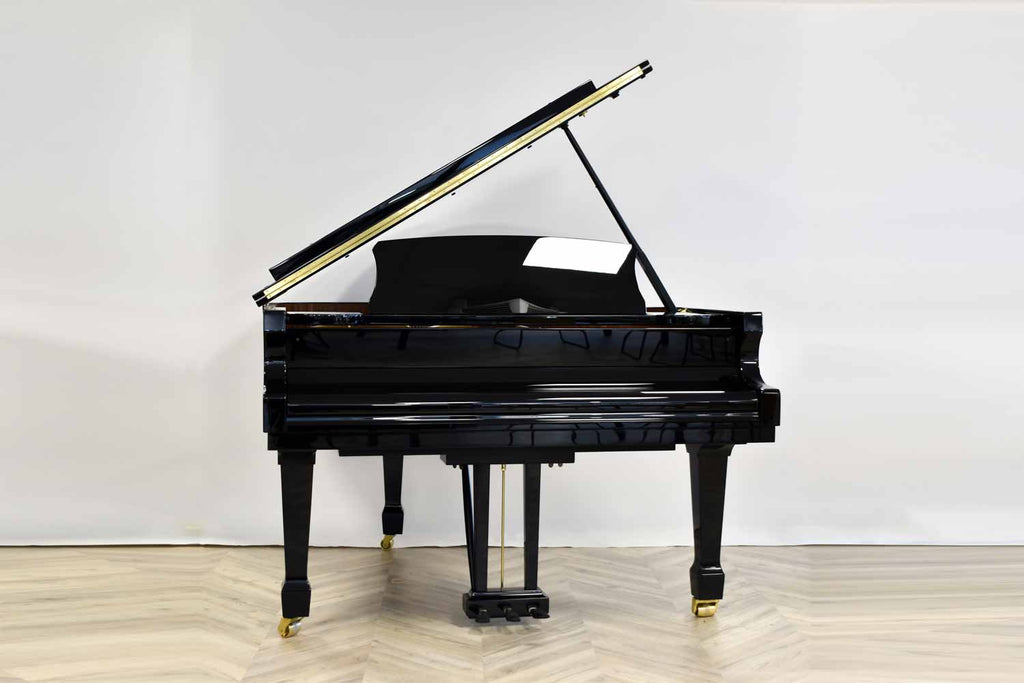 W. Hoffmann T-177 Hoogglans Zwart Vleugel