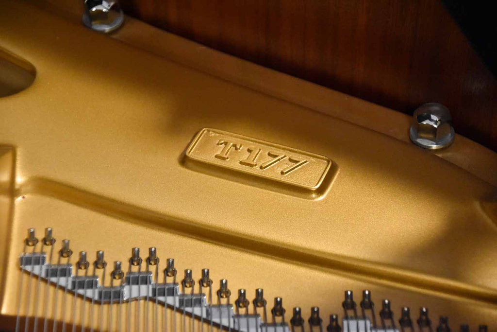 W. Hoffmann T-177 Hoogglans Zwart Vleugel