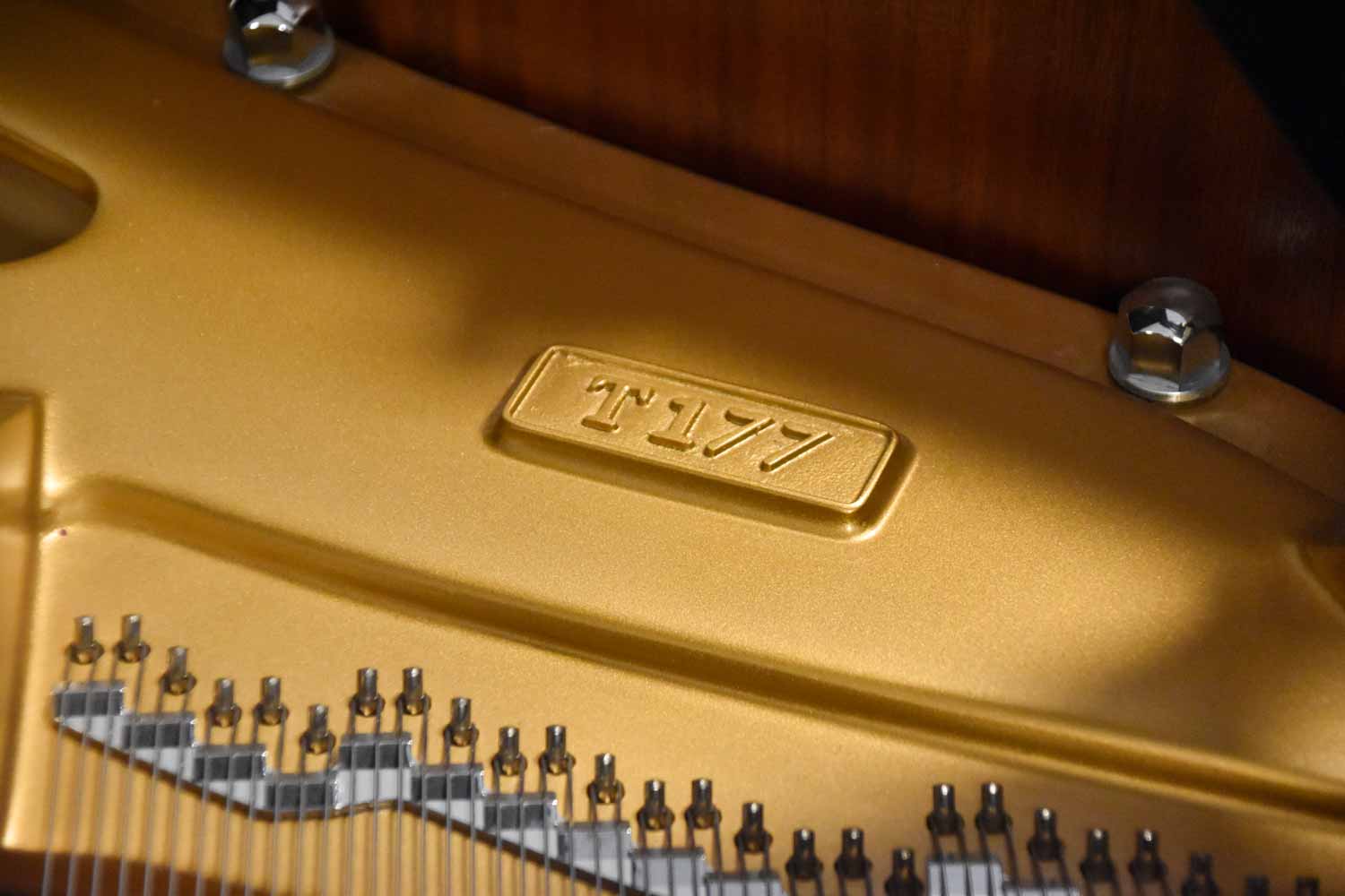 W. Hoffmann T-177 Hoogglans Zwart Vleugel