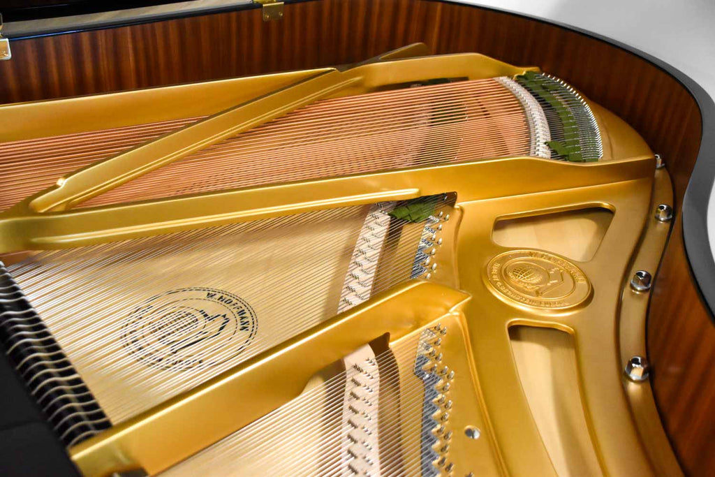 W. Hoffmann T-177 Hoogglans Zwart Vleugel