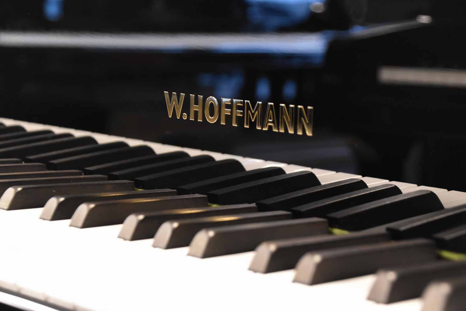 W. Hoffmann T-161 Zwart Hoogglans Vleugel